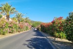 W Banyuls-sur-Mer